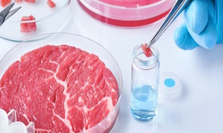 Лабораторный анализ пищевых продуктов по СанПиН в Нижнем Тагиле в октябре