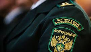 Подготовка к проверке Росприроднадзора в Нижнем Тагиле от ПромМир-Нжн, стоимость услуги от 20818 руб.